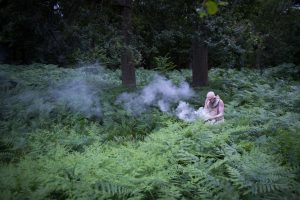 Hermès 2016 : nature at full gallop - Mica Moca temporary art projects